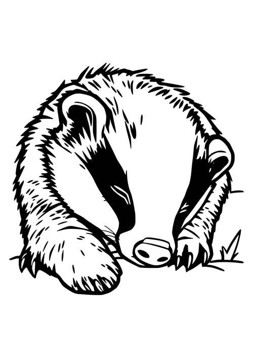 A cute badger sleeping in a peaceful scene, waiting to be colored.