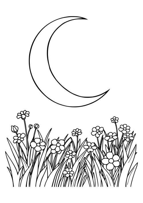 Black and white line art illustration of a crescent moon in a lush green meadow under a starry night sky.
