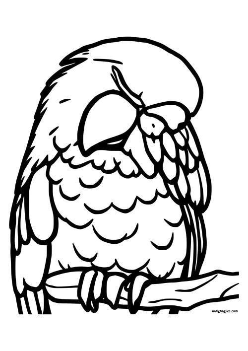 A black-and-white line-art image of a parrot sleeping on a branch, surrounded by lush green leaves.